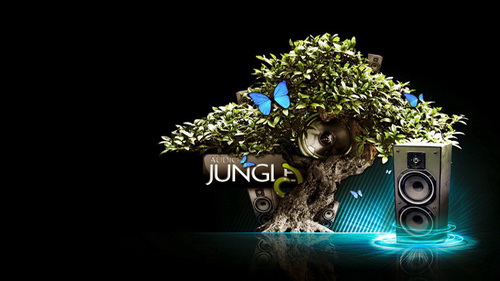AudioJungle  - Audio Launch Logo - 51138883